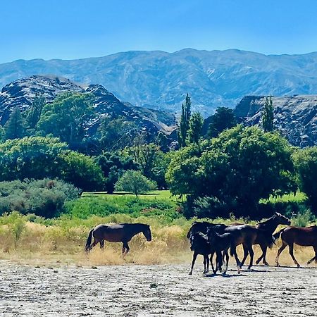 Finca Tierra Calma Casa 1 Barreal Kültér fotó