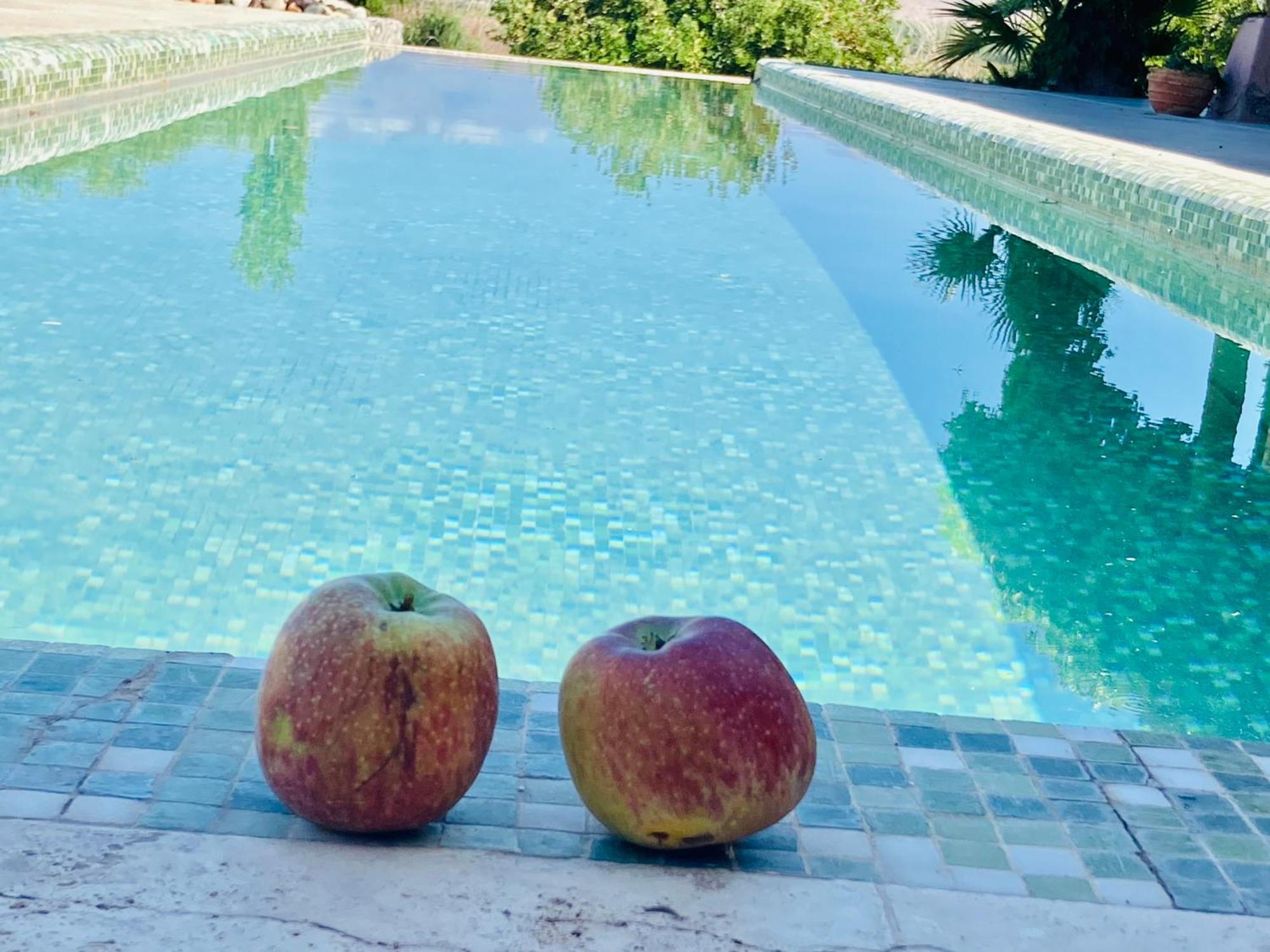 Finca Tierra Calma Casa 1 Barreal Kültér fotó